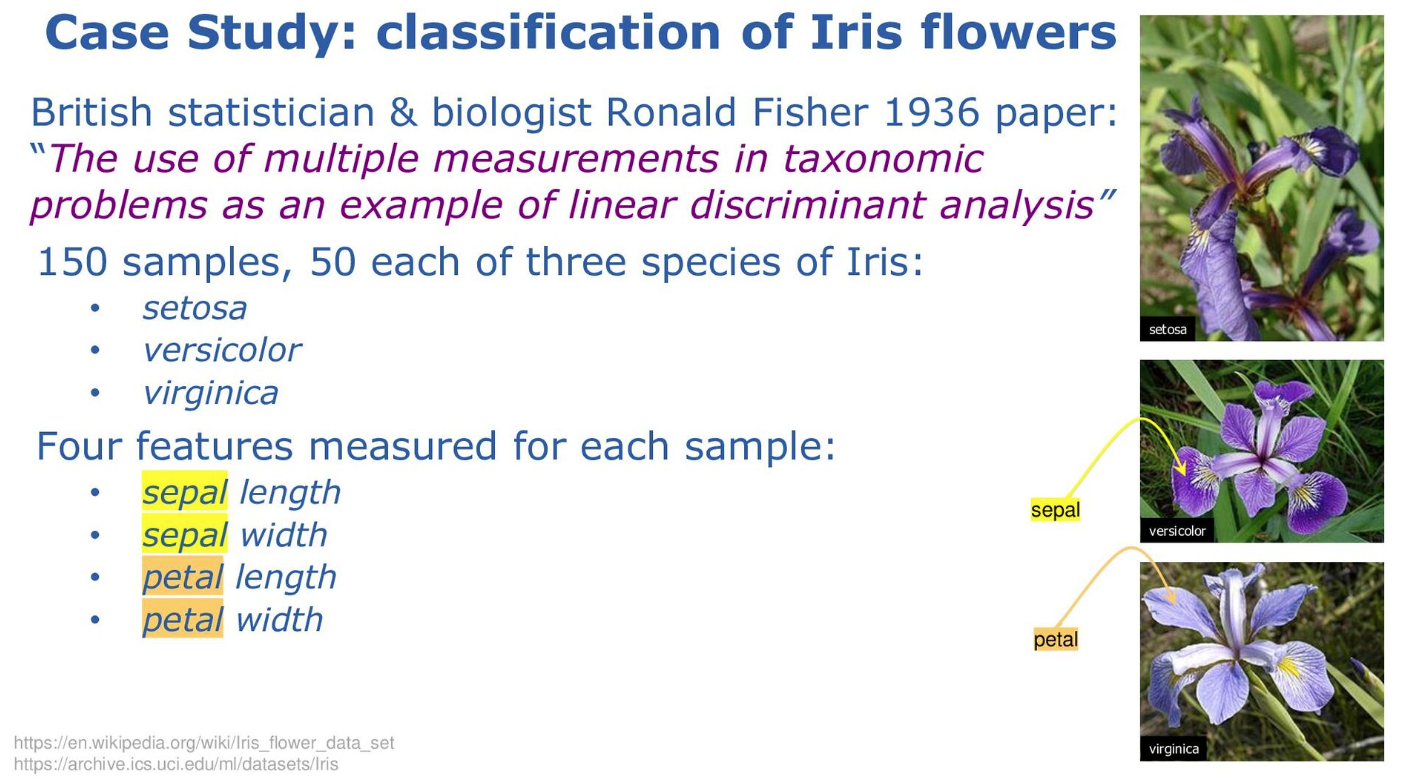 classifiation